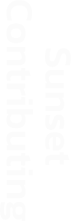 Silhouette of a person playing electric guitar.